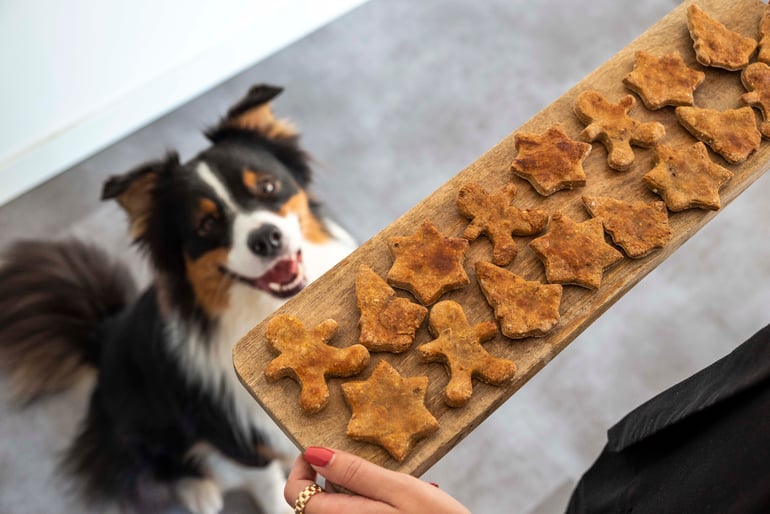 Recept: kerst koekjes hond