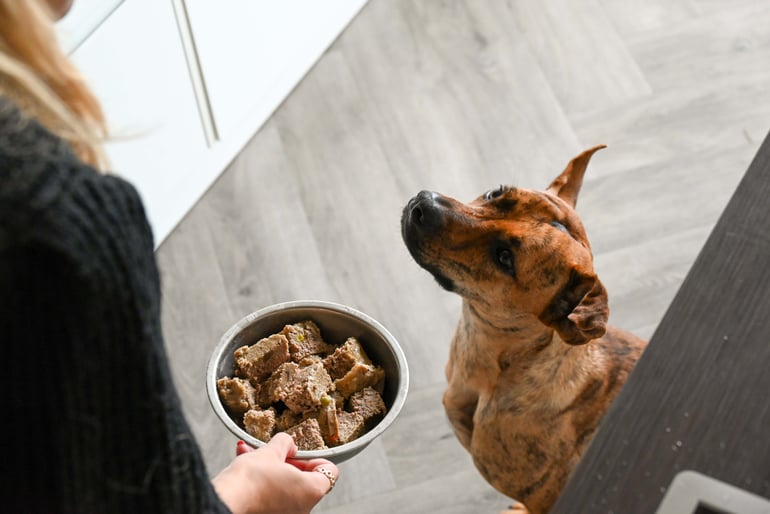 voeding ontlasting hond