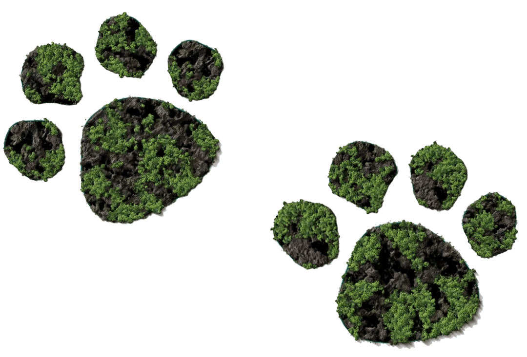 Green pawprint - 4 tenen-1