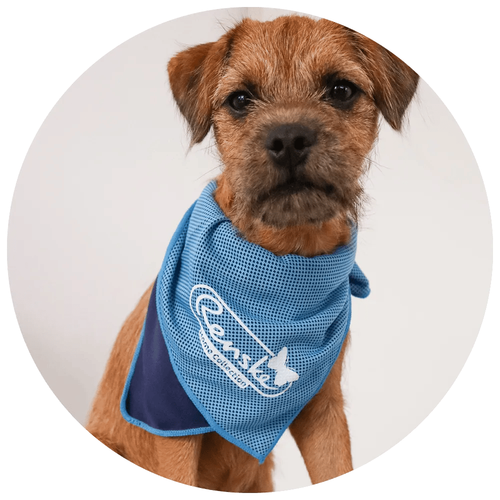 tmpWebsite Cirkel + koeldoek FitzGEktVj