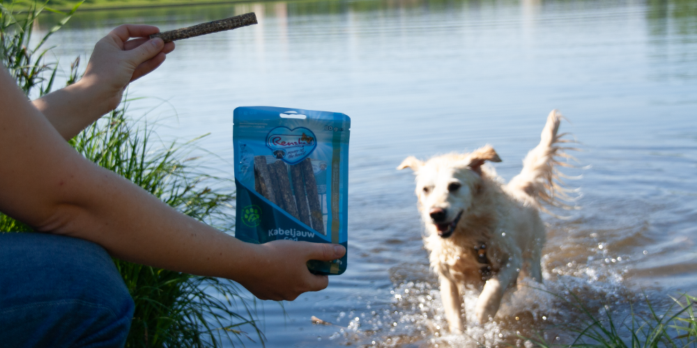 Hydratatie hond