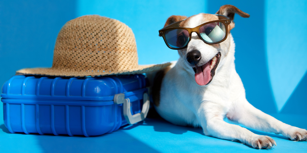 vakantiechecklist
