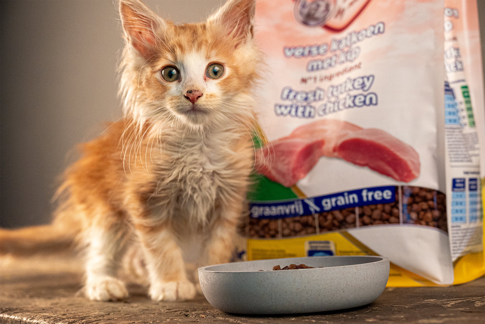 Voedingsschema Voor Kittens: Van De Geboorte Tot Een Jaar