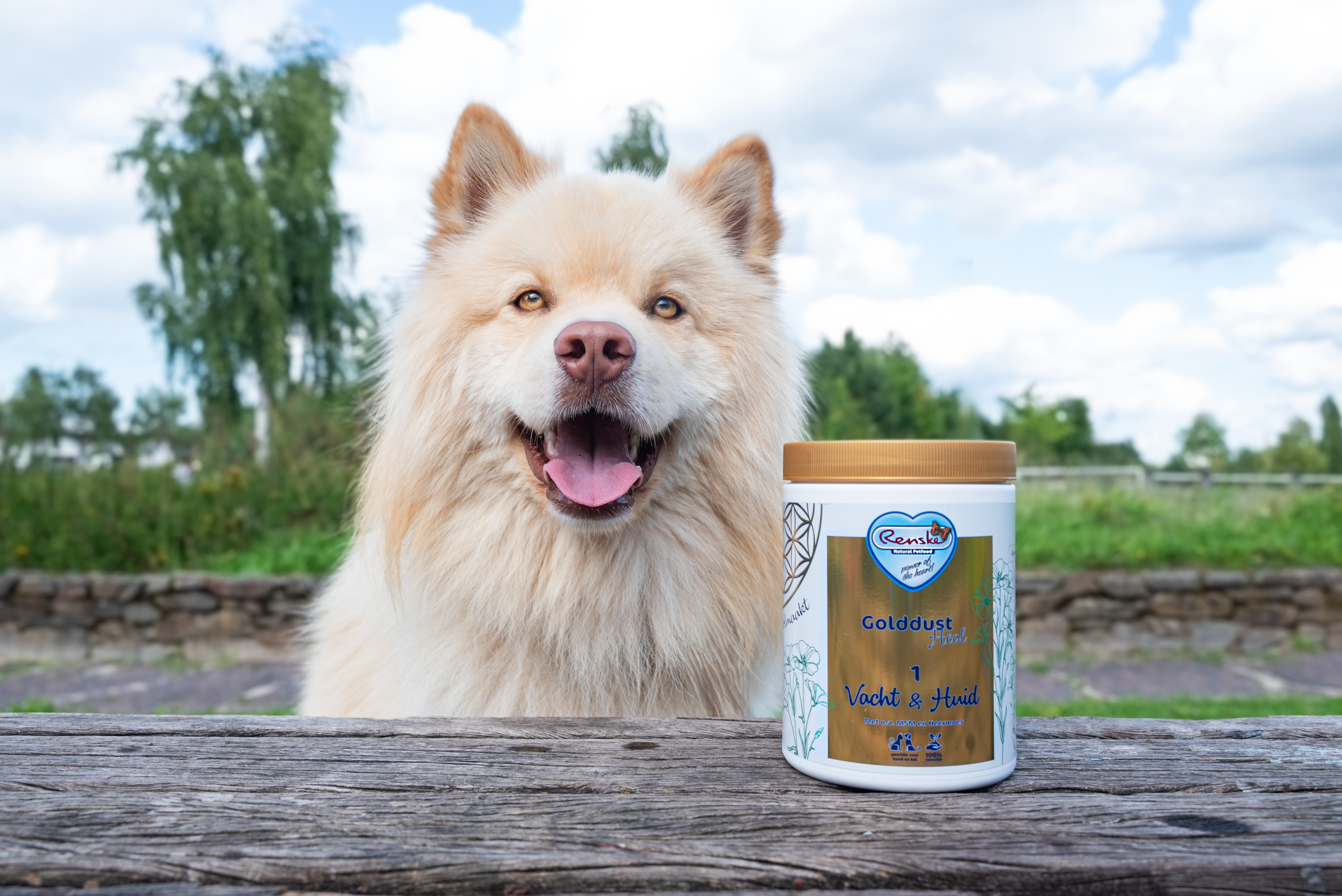 Renske voeding huid- en vachtproblemen