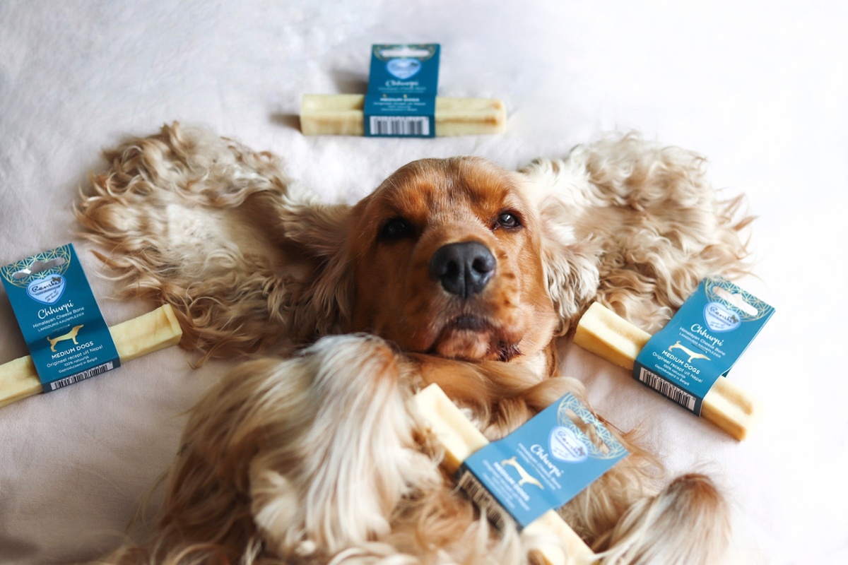 chhurpi himalayan kauwkluif