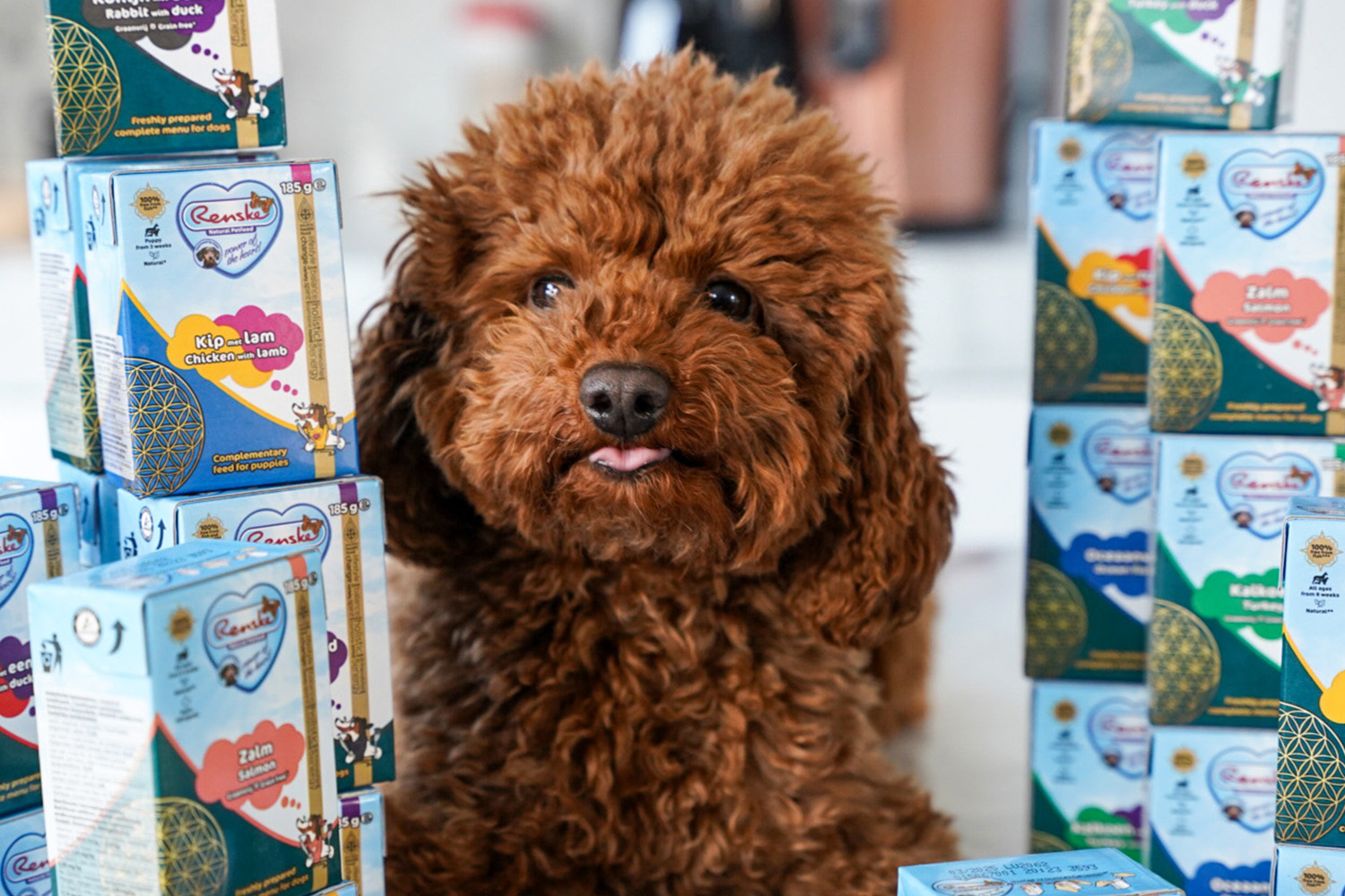 Renske natuurlijke diervoeding voor stress bij honden 