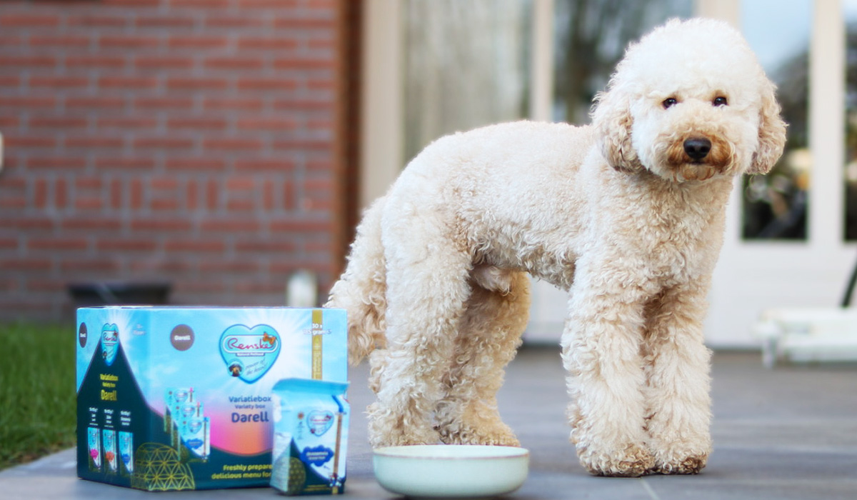 Eet jouw hond niet door stress?